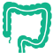 Colonoscopy